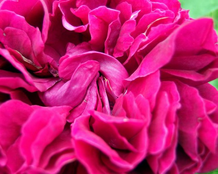falstaff-2
